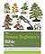 The Bonsai Beginner's Bible
