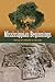Mississippian Beginnings (Florida Museum of Natural History: Ripley P. Bullen Series)