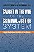 Caught in the Web of the Criminal Justice System by Lawrence A. Dubin