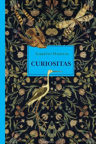 Curiositas