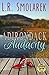 Adirondack Audacity (Adiron...