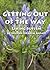 Getting Out Of The Way (A Qadiri Rifai Book of the Holy Trail)