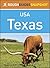 Texas (Rough Guides Snapshot USA)