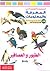 الموسوعة الشاملة في المعرفة و المعلومات-الطيور و العصافير
