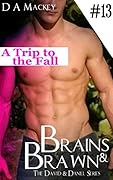 Brains & Brawn (Book 13) : The David and Daniel Series: A Trip to the Falls