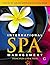 International Spa Management