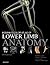 McMinn's Color Atlas of Lower Limb Anatomy by Bari M. Logan
