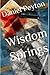 Wisdom Springs