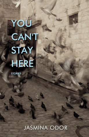 You Can't Stay Here (Paperback)