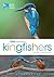 RSPB Spotlight Kingfishers by David  Chandler