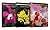 Micropropagation of Orchids, 3 Volume Set