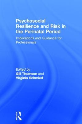 Psychosocial Resilience and Risk in the Perinatal Period: Implications and Guidance for Professionals