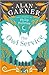 The Owl Service by Alan Garner