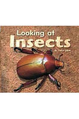 Looking at Insects (Rigby Flying Colors)