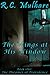 The Wings at His Window by R.C. Mulhare