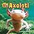 Axolotl (Weirder and Cuter)