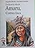 Amaru, correo inca