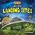 Alien Landing Sites