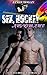 Sex, Hockey and Romance