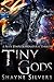 Tiny Gods (The Temple Chron...