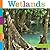 Wetlands (Seedlings)