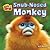 Snub-Nosed Monkey