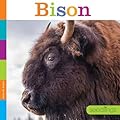Bison