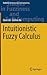 Intuitionistic Fuzzy Calculus (Studies in Fuzziness and Soft Computing, 353)