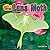 Luna Moth