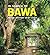 In Search of Bawa: Master A...