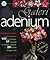 Galeri Adenium