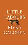 Little Labours by Rivka Galchen