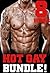 Hot Gay Bundle! by Sam Love