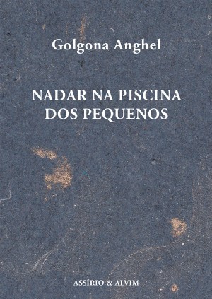 Nadar na Piscina dos Pequenos (Paperback)