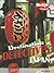Japan (Destination Detectives (Freestyle Express))