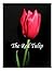 The Red Tulip