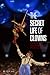 The Secret Life of Clowns