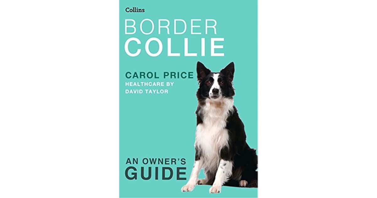 carol price border collie