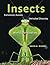 Insects by David B. Rivers