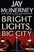 Bright Lights Big City by Jay McInerney