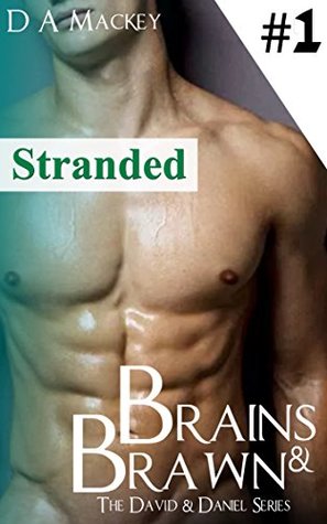 Brains & Brawn (Book 1) : The David and Daniel Series: Stranded