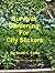 Survival Gardening for City Slickers