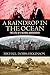 A Raindrop in the Ocean by Michael Dobbs-Higginson