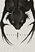The Dragon Beshrewed