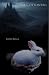 The Cottontail by Jennifer Renson