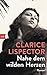 Nahe dem wilden Herzen by Clarice Lispector