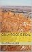 Only Rock Is Real by Sandra Cavallo Miller Only Rock Is Real by Sandra Cavallo Miller