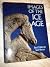 Images of the Ice Age