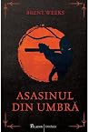 Asasinul din umbră