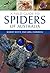 A Field Guide to Spiders of Australia